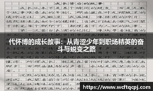  官方入口